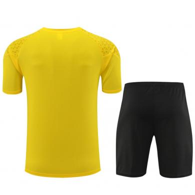 Camiseta Borussia Dortmund Pre-match 23/24 + Pantalone