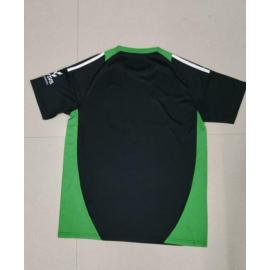 Camiseta Burgos Fc 24/25