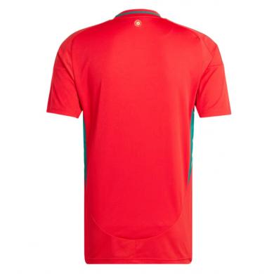 Camiseta GALES Primera Equipación 2024