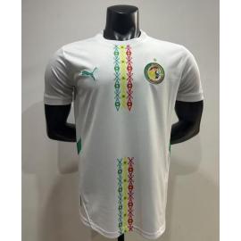 Camiseta Senegal Primera Equipación 2025 Authentic