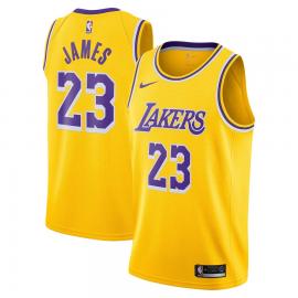 Camiseta Icon Swingman de Los Ángeles Lakers de LeBron James