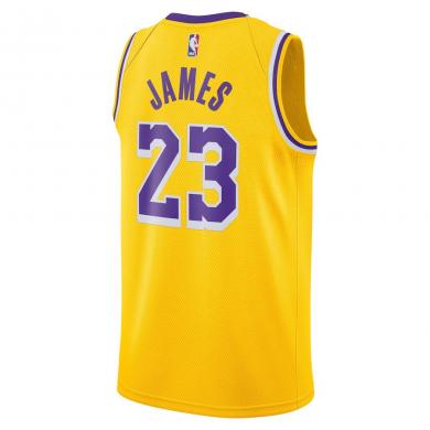 Camiseta Icon Swingman de Los Ángeles Lakers de LeBron James